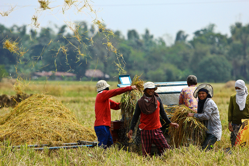 Agricultural Transformation in Asia: Policy Options for Food and Nutrition Security
