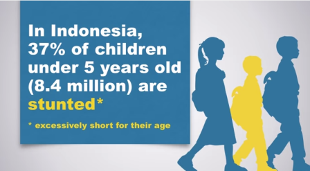 The Double Burden of Malnutrition in Indonesia