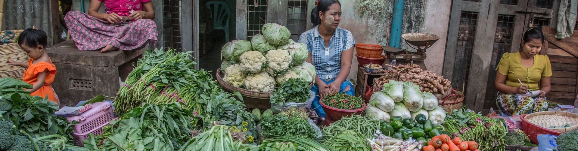 Household dietary patterns and the cost of a nutritious diet in Myanmar