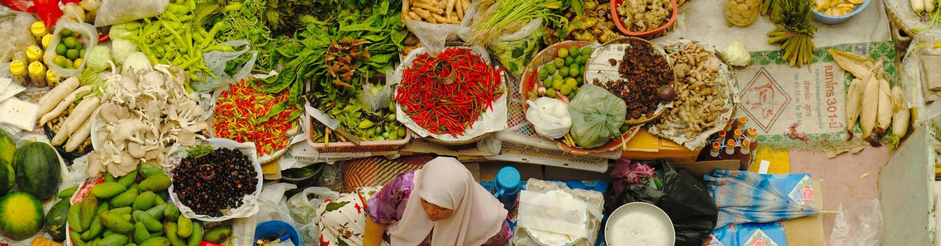 Patterns of regional agri-food trade in Asia
